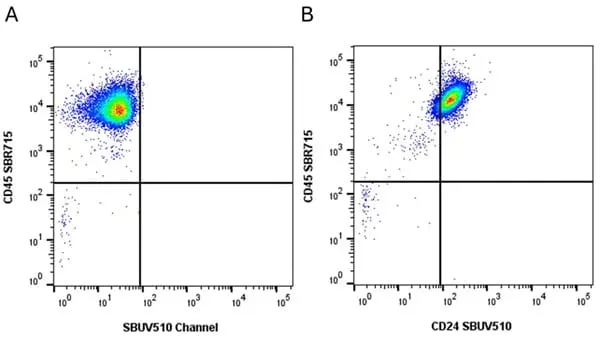 Anti Human CD24 Antibody, clone SN3 gallery image 9