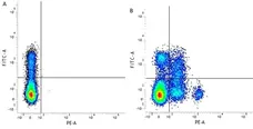 Anti Human CD244 Antibody, clone 2B4.69 gallery image 1