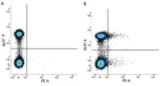 Anti Human CD25 Antibody, clone MEM-181 gallery image 1