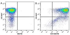 Anti Human CD25 Antibody, clone MEM-181 gallery image 10