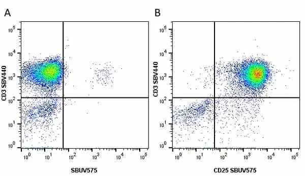 Anti Human CD25 Antibody, clone MEM-181 gallery image 18