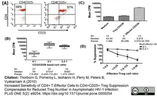 Anti Human CD25 Antibody, clone MEM-181 gallery image 2