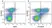Anti Human CD25 Antibody, clone MEM-181 thumbnail image 23