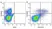 Anti Human CD25 Antibody, clone MEM-181 thumbnail image 25