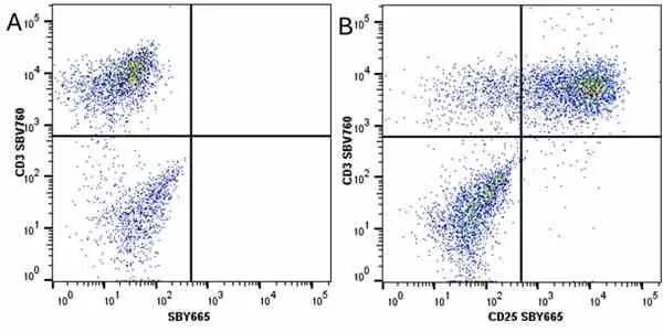 Anti Human CD25 Antibody, clone MEM-181 gallery image 27