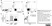 Anti Human CD25 Antibody, clone MEM-181 thumbnail image 3