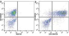 Anti Human CD25 Antibody, clone MEM-181 gallery image 31