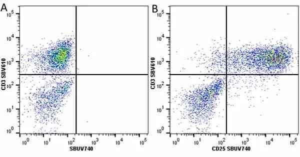 Anti Human CD25 Antibody, clone MEM-181 gallery image 31