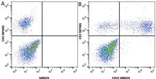 Anti Human CD25 Antibody, clone MEM-181 gallery image 33