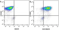 Anti Human CD25 Antibody, clone MEM-181 gallery image 5