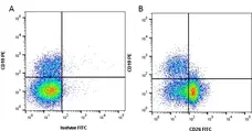 Anti Human CD26 Antibody, clone M-A261 gallery image 1