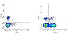 Anti Human CD27 Antibody, clone LT27 gallery image 1