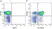 Anti Human CD27 Antibody, clone LT27 thumbnail image 10