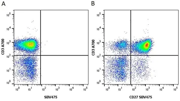 Anti Human CD27 Antibody, clone LT27 gallery image 10