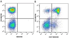 Anti Human CD27 Antibody, clone LT27 gallery image 11