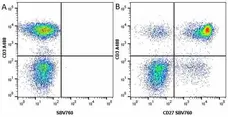 Anti Human CD27 Antibody, clone LT27 gallery image 12
