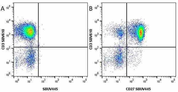 Anti Human CD27 Antibody, clone LT27 gallery image 14