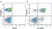 Anti Human CD27 Antibody, clone LT27 thumbnail image 17