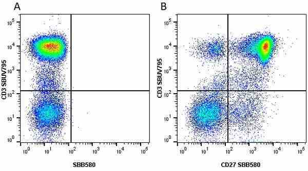Anti Human CD27 Antibody, clone LT27 gallery image 17