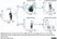 Anti Human CD27 Antibody, clone LT27 thumbnail image 2
