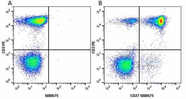 Anti Human CD27 Antibody, clone LT27 gallery image 20