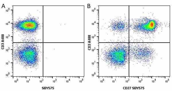 Anti Human CD27 Antibody, clone LT27 gallery image 22