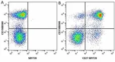 Anti Human CD27 Antibody, clone LT27 gallery image 24