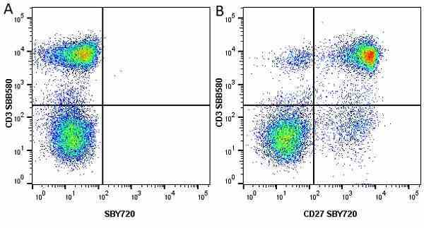 Anti Human CD27 Antibody, clone LT27 gallery image 24