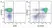 Anti Human CD27 Antibody, clone LT27 thumbnail image 25