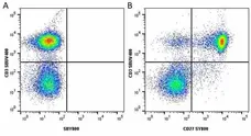 Anti Human CD27 Antibody, clone LT27 gallery image 27