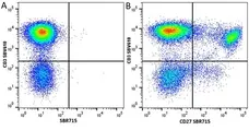 Anti Human CD27 Antibody, clone LT27 gallery image 31
