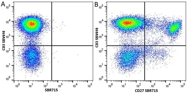 Anti Human CD27 Antibody, clone LT27 gallery image 31