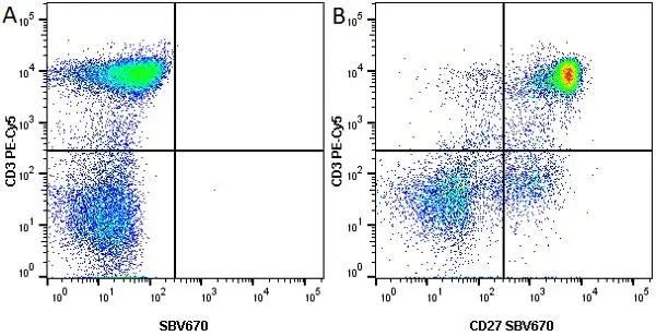 Anti Human CD27 Antibody, clone LT27 gallery image 4
