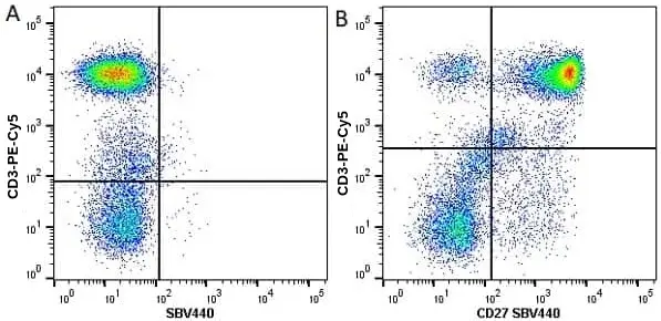 Anti Human CD27 Antibody, clone LT27 gallery image 5