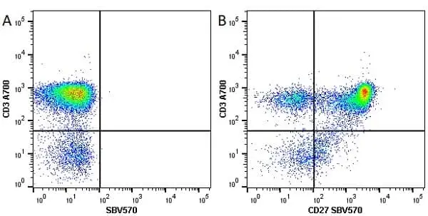 Anti Human CD27 Antibody, clone LT27 gallery image 7