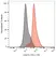 Anti Human CD274 Antibody, clone 29E.2A3 thumbnail image 1