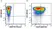 Anti Human CD274 Antibody, clone 29E.2A3 thumbnail image 3