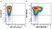Anti Human CD279 Antibody, clone EH12.2H7 thumbnail image 3