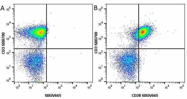 Anti Human CD28 Antibody, clone YTH913.12 gallery image 12