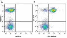 Anti Human CD28 Antibody, clone YTH913.12 gallery image 14