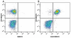 Anti Human CD28 Antibody, clone YTH913.12 gallery image 18