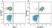 Anti Human CD28 Antibody, clone YTH913.12 thumbnail image 18