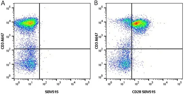 Anti Human CD28 Antibody, clone YTH913.12 gallery image 2