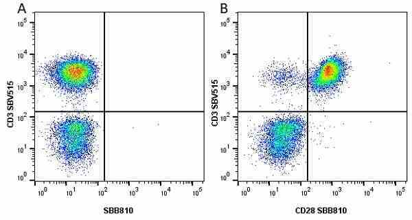 Anti Human CD28 Antibody, clone YTH913.12 gallery image 20