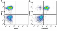 Anti Human CD28 Antibody, clone YTH913.12 gallery image 22