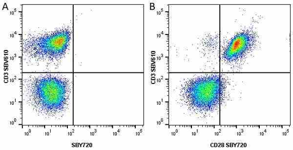 Anti Human CD28 Antibody, clone YTH913.12 gallery image 23