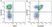 Anti Human CD28 Antibody, clone YTH913.12 thumbnail image 24