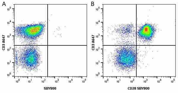 Anti Human CD28 Antibody, clone YTH913.12 gallery image 24