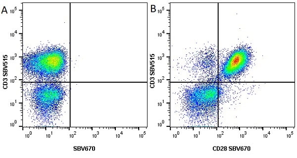 Anti Human CD28 Antibody, clone YTH913.12 gallery image 2