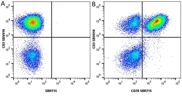 Anti Human CD28 Antibody, clone YTH913.12 gallery image 30